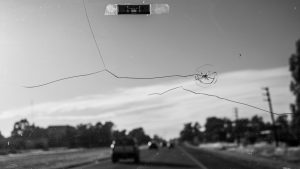 Best Windshield Repair Same Day in San Diego, California